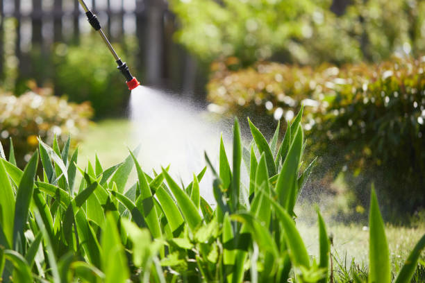 24/7 Emergency Ant Control experts in Lauderdale, MN