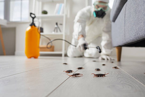 Trusted Fumigation Services service in Lauderdale, MN - Nex Pest Control