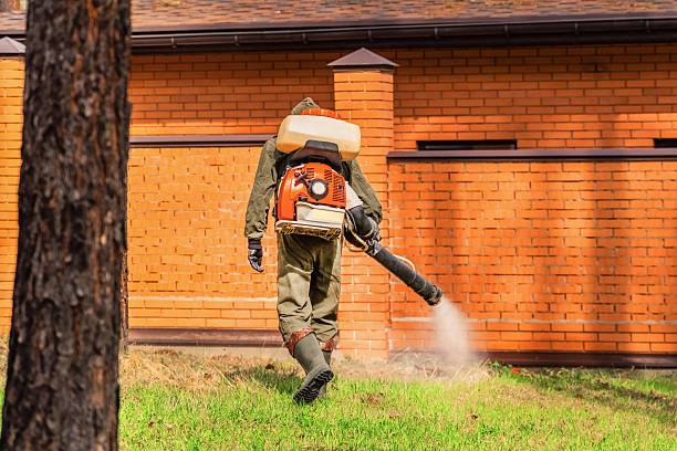 Trusted Rodent Control service in Lauderdale, MN - Nex Pest Control